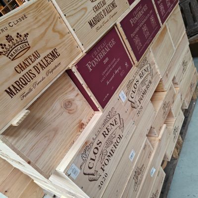 487508839_1279916464136795_8496603365350614800_n